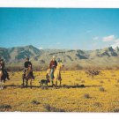 Horseback Riding Out West Cowboy with Dog Desert in Bloom 1950s Vintage Texas Postcard
