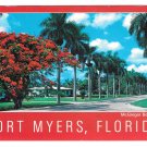 Fort Myers Florida Royal Palms on McGregor Boulevard Vintage 4X6 FL Postcard
