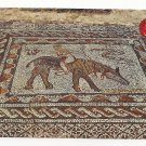 Morocco Maroc Volubilis Roman Ruins Mosaics Detail Vintage Postcard 4X6
