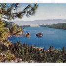 CA NV Emerald Bay Lake Tahoe Pine Cones Vintage Postcardrd