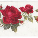 Beautiful Thorny Stem of Red Roses with Buds Vintage Flower Postcard Beautiful Thorny Stem of Red Roses with Buds Vintage Flower Postcard