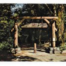 Gateway Muir Woods National Monument Redwoods Mill Valley CA Vntg Gray Line Tours Postcard Gateway Muir Woods National Monument Redwoods Mill Valley CA Vntg Gray Line Tours Postcard