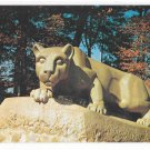 PA Nittany Lion Shrine Penn State College Vintage Pennsylvania University Postcard