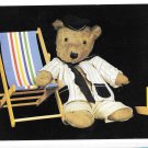 Dressed Stuffed Teddy Bear Teddy Toast Beach Chair Caroline Irwin Vntg 1986 4X6 Postcard