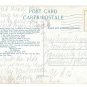 Canada Quebec Golden Dog Chien D'Or Vintage Librairie Gatneau Postcard