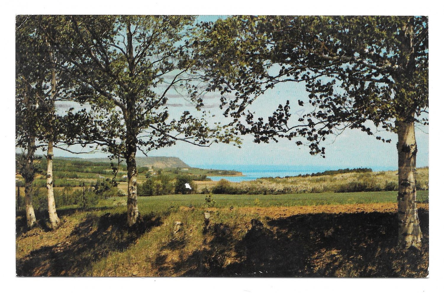 Canada NS Cape Blomidon Countryside Nova Scotia Annapolis Valley Vintage Postcard