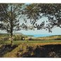 Canada NS Cape Blomidon Countryside Nova Scotia Annapolis Valley Vintage Postcard