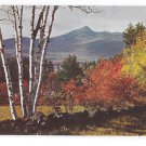NH Mt Chocorua Winston Pote Autumn New Hampshire Landscape Vintage 1963 Postcard