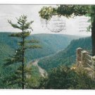 Pennsylvania Grand Canyon Colton Point State Park South View Lookout VintagePostcard