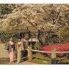 Golden Gate Park San Francisco CA Japanese Tea Garden Vintage Gray Line Postcard