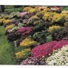 PA Greetings from Pocono Mountains Rock Garden Vintage 1958 A B Wyckoff Postcard