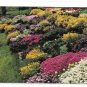 PA Greetings from Pocono Mountains Rock Garden Vintage 1958 A B Wyckoff Postcard