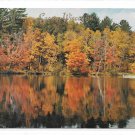 WI Laona Wisconsin Vacationland Autumn Lake Scene with boar Fall Color Vintage Postcard
