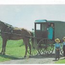 Amish Family Children Horse and Buggy Lancaster PA Vntg Postcard Vincent Tortora Photographer