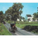 phrata PA Amish Family Returning from Church Horse Buggy Lancaster Co Vintage Postcard phrata PA Amish Family Returning from Church Horse Buggy Lancaster Co Vintage Postcard