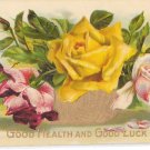 Greetings Good Health Good Luck Embossed Glossy Pink Roses Gold Bowl Vintage Postcard Greetings Good Health Good Luck Embossed Glossy Pink Roses Gold Bowl Vintage Postcard
