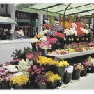 CA Sidewalk Flower Stand Vendor Cart San Francisco California Vintage Postcard