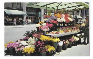 CA Sidewalk Flower Stand Vendor Cart San Francisco California Vintage Postcard