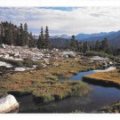 Sequoia National Park Mosquito Creek Carr Clifton Photo Sierra Club Postcard