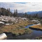 Sequoia National Park Mosquito Creek Carr Clifton Photo Sierra Club Postcard