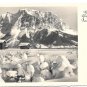 Neuen Jahr German Real Photo New Years Postcard RPPC Snowy Mountain Cabins