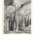Herrliche Neujahrswunsche Austria New Years Postcard RPPC Snowy Mountain Trees