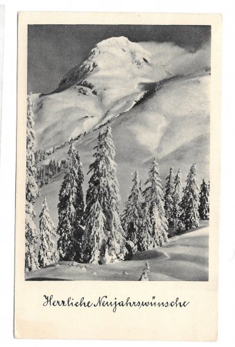 Herrliche Neujahrswunsche Austria New Years Postcard RPPC Snowy Mountain Trees