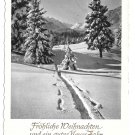 RPPC Frohliche Weinachten Christmas Path in Snow Mountains Germany 4X6 HORN Postcard