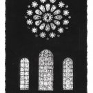 RPPC France Chartres Cathedral Notre Dame West Rose Window Stained Glass La Cigogne Postcard RPPC France Chartres Cathedral Notre Dame West Rose Window Stained Glass La Cigogne Postcard