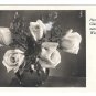 RPPC Gluckwunsch zum Wiegenfeste Happy Birthday Roses 1951 Austria Germany BNK Postcard