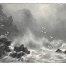 Artist Adolf Kaufmann Seascape Rocks Surf Gulls Flying Rembrandt Gravure AS Postcard