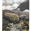 Alpenflora Artemisia Otto Haus Alpenhutte Austria Nenke Ostermaier Serie 522 N 932 Postcard