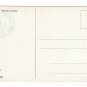 Alpenflora Primula Otto Haus Austria Alps Nenke Ostermaier Serie 523 N 944 Postcardard