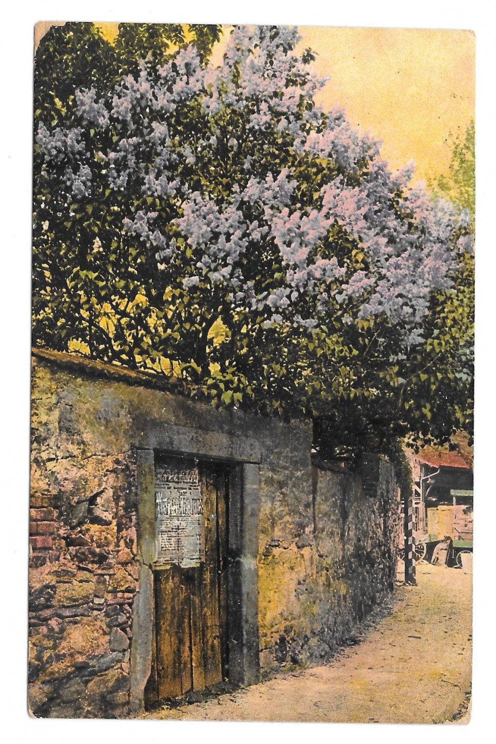 Gate in Stone Wall R. N. Da 3016 Vintage 1909 Made in Germany Postcard
