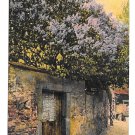 Gate in Stone Wall R. N. Da 3016 Vintage 1909 Made in Germany Postcard