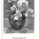 RPPC Happy Birthday Gluckwunsch Geburtag Vase Roses Austria HDH Wien Verlag Postcard