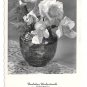RPPC Happy Birthday Gluckwunsch Geburtag Vase Roses Austria HDH Wien Verlag Postcard