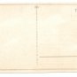 E.A. Schwerdtfeger Kunstverlag Saint Bernard Dog EAS 9654 Berlin Postcard