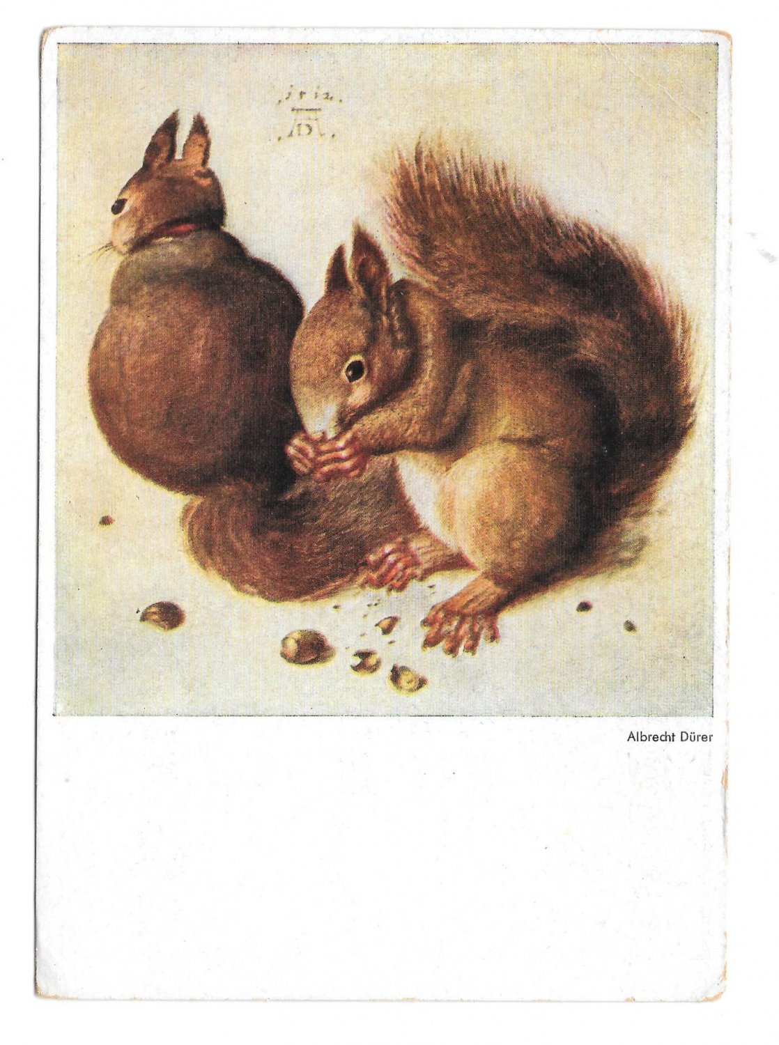 Albrecht Durer Eichhornchen Squirrels Franz Hanfstaengl Munich 4X6 Art ...