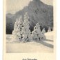 RPPC Christmas Card Frohe Weihnachten Snow Fir Trees Tirol Austria Postcard