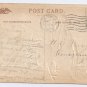 Vintage Thanksgiving Postcard turkey Pumpkin Pie Cranberry 1907