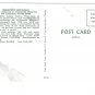 Creightons Restaurant Fort Lauderdale Florida Inland Waterway Postcard
