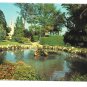 France Cote D'Azur Grasse Cite des Parfums Le Jardin 4X6 MAR Postcard