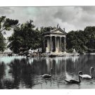 Italy Rome Villa Borghese Laghetto Park Pond Swans Glossy 4X6 Real Photo Postcard