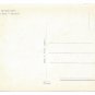 Italy Lago Maggiore Isola Bella Giardini Grand Gardens Glossy 4X6 Postcard