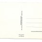 Greetings Salut Vieille Chouette Hello Old Owl Collection Orion Paris Postcard 4X6
