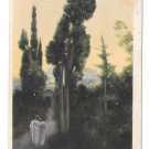 Quo Vadis No 12 Henryk Sienkiewicz Vinicius und Lygia Rommel Collotype 1913 Postcard