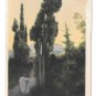 Quo Vadis No 12 Henryk Sienkiewicz Vinicius und Lygia Rommel Collotype 1913 Postcard