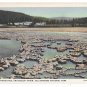 WY Yellowstone Park Sapphire Pool Biscuit Basin Haynes Linen Postcard