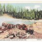 WY Yellowstone Park Lake Grand Canyon Punch Bowl Spring 3 Vntg Haynes Linen Postcards